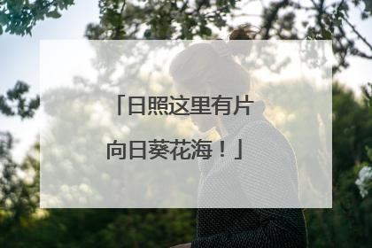 日照这里有片向日葵花海！