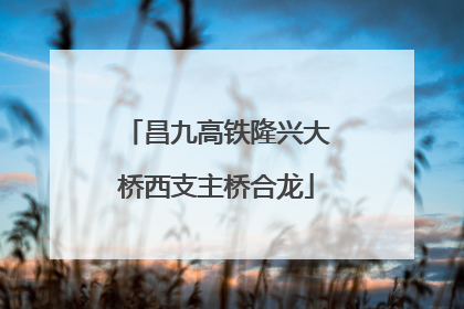 昌九高铁隆兴大桥西支主桥合龙