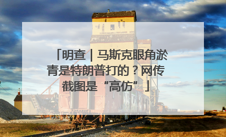 明查｜马斯克眼角淤青是特朗普打的？网传截图是“高仿”