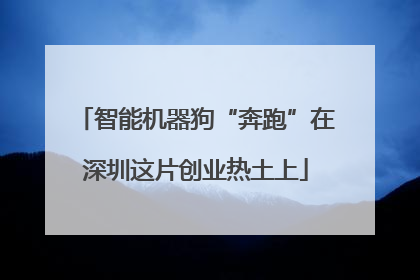 智能机器狗“奔跑”在深圳这片创业热土上