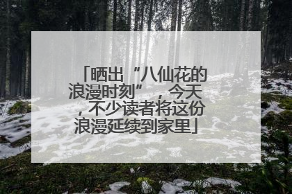 晒出“八仙花的浪漫时刻”，今天，不少读者将这份浪漫延续到家里