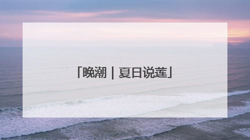 晚潮｜夏日说莲
