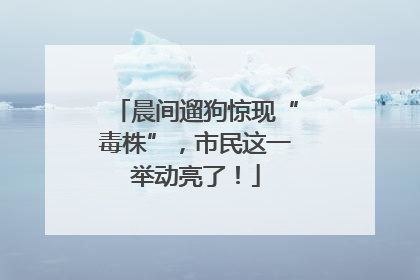晨间遛狗惊现“毒株”，市民这一举动亮了！