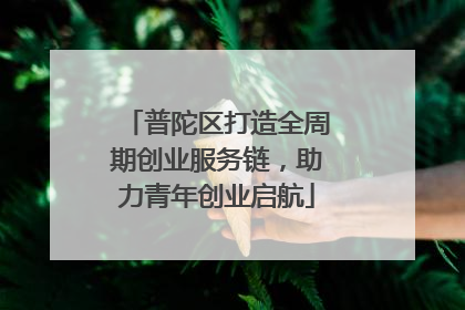 普陀区打造全周期创业服务链，助力青年创业启航