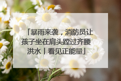 暴雨来袭，消防员让孩子坐在肩头蹚过齐腰洪水丨看见正能量