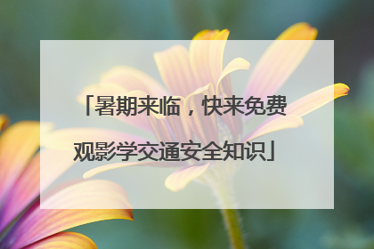 暑期来临，快来免费观影学交通安全知识