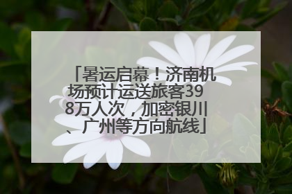 暑运启幕！济南机场预计运送旅客398万人次，加密银川、广州等方向航线