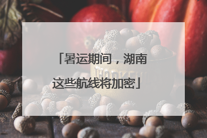 暑运期间，湖南这些航线将加密