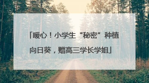 暖心！小学生“秘密”种植向日葵，赠高三学长学姐