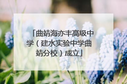 曲靖海亦丰高级中学（建水实验中学曲靖分校）成立