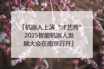 机器人上演“才艺秀” 2025智能机器人发展大会在南京召开