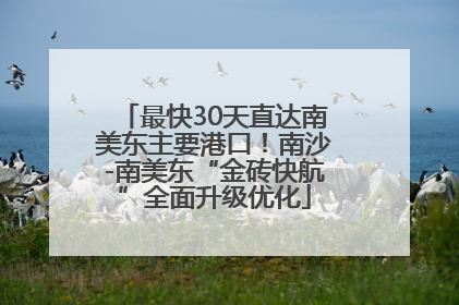最快30天直达南美东主要港口！南沙-南美东“金砖快航”全面升级优化