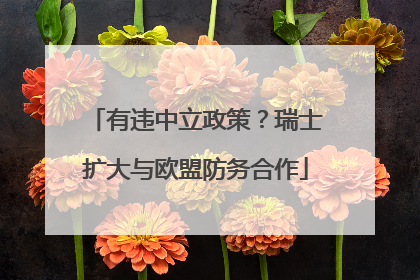 有违中立政策？瑞士扩大与欧盟防务合作