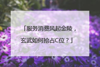 服务消费风起金陵，玄武如何抢占C位？