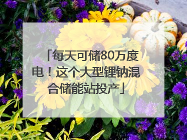 每天可储80万度电！这个大型锂钠混合储能站投产