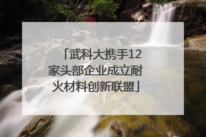 武科大携手12家头部企业成立耐火材料创新联盟