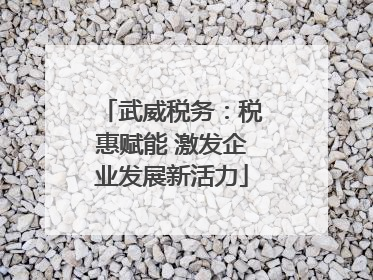 武威税务：税惠赋能 激发企业发展新活力