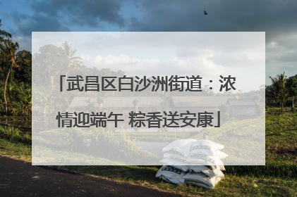 武昌区白沙洲街道：浓情迎端午 粽香送安康