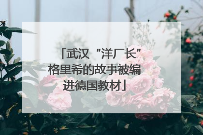 武汉“洋厂长”格里希的故事被编进德国教材
