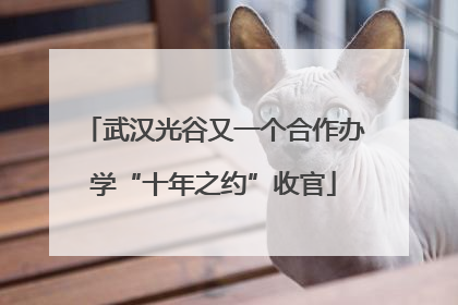 武汉光谷又一个合作办学“十年之约”收官