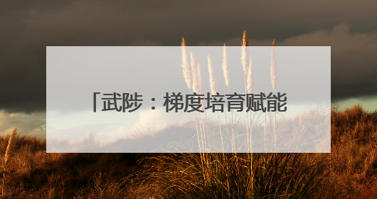 武陟：梯度培育赋能企业“拔节生长”