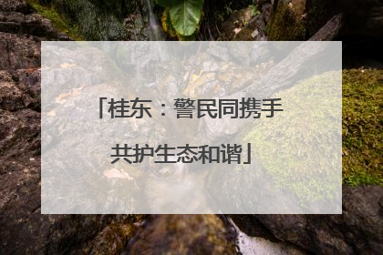 桂东：警民同携手 共护生态和谐