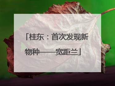 桂东：首次发现新物种——宽距兰