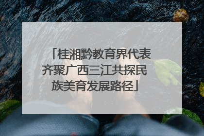 桂湘黔教育界代表齐聚广西三江共探民族美育发展路径