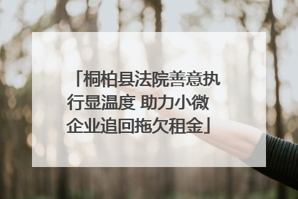 桐柏县法院善意执行显温度 助力小微企业追回拖欠租金