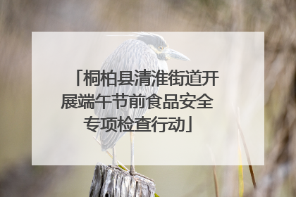 桐柏县清淮街道开展端午节前食品安全专项检查行动