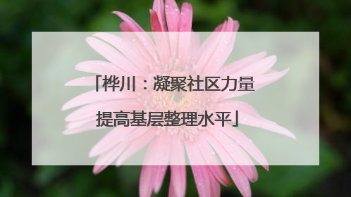 桦川：凝聚社区力量 提高基层整理水平