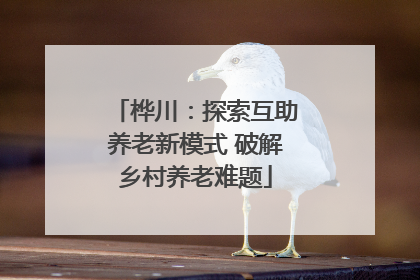 桦川：探索互助养老新模式 破解乡村养老难题