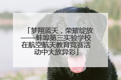 梦翔蓝天，荣耀绽放——蚌埠第三实验学校在航空航天教育竞赛活动中大放异彩