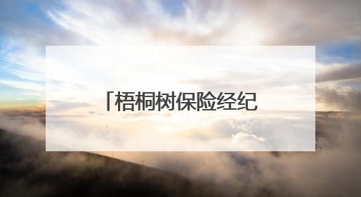 梧桐树保险经纪“桐星守护”关爱活动圆满举行