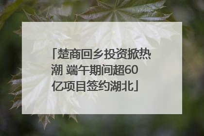 楚商回乡投资掀热潮 端午期间超60亿项目签约湖北