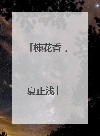 楝花香，夏正浅