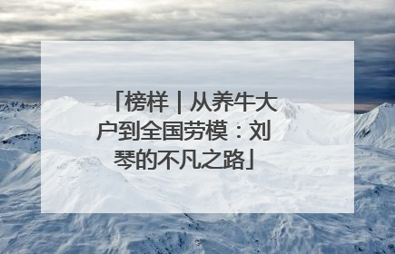 榜样｜从养牛大户到全国劳模：刘琴的不凡之路