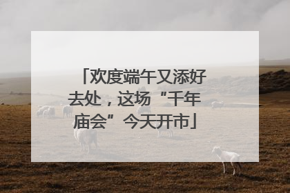 欢度端午又添好去处，这场“千年庙会”今天开市