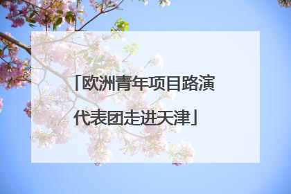 欧洲青年项目路演代表团走进天津