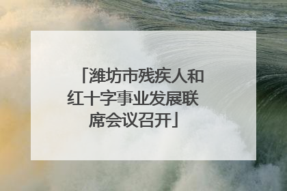 潍坊市残疾人和红十字事业发展联席会议召开