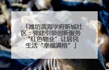 潍坊滨海学府新城社区：党建引领创新服务 “红色物业”让居民生活“幸福满格”