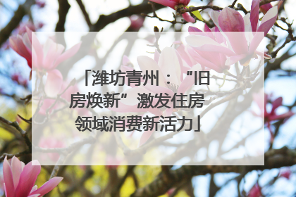 潍坊青州：“旧房焕新”激发住房领域消费新活力