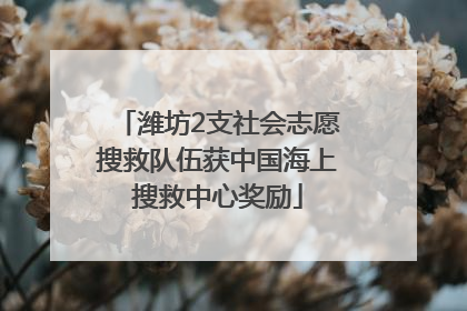 潍坊2支社会志愿搜救队伍获中国海上搜救中心奖励
