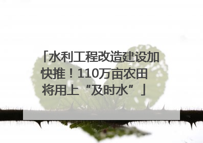 水利工程改造建设加快推！110万亩农田将用上“及时水”