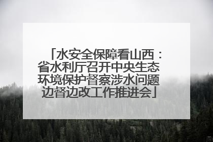 水安全保障看山西：省水利厅召开中央生态环境保护督察涉水问题边督边改工作推进会