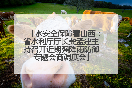 水安全保障看山西：省水利厅厅长龚孟建主持召开近期强降雨防御专题会商调度会