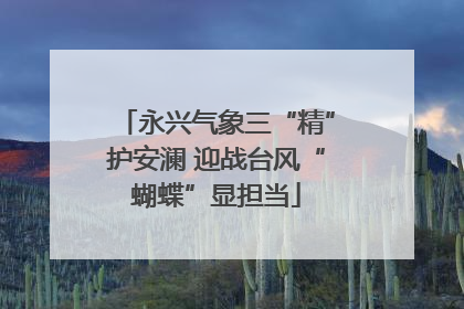 永兴气象三“精”护安澜 迎战台风“蝴蝶”显担当