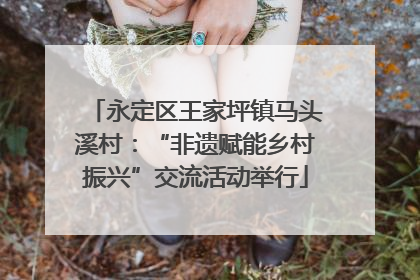 永定区王家坪镇马头溪村：“非遗赋能乡村振兴”交流活动举行