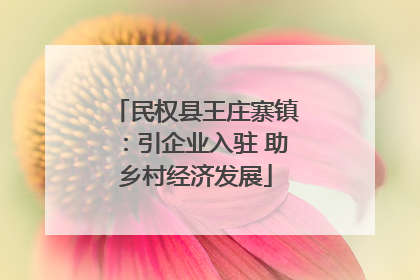 民权县王庄寨镇：引企业入驻 助乡村经济发展