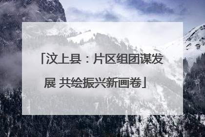 汶上县：片区组团谋发展 共绘振兴新画卷